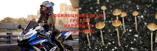 apvp Баксан