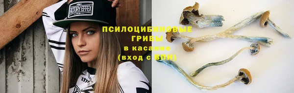 apvp Баксан