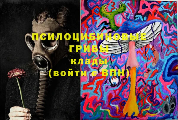 прущая мука Арсеньев
