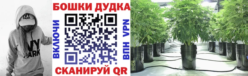 Конопля Bruce Banner Белозерск